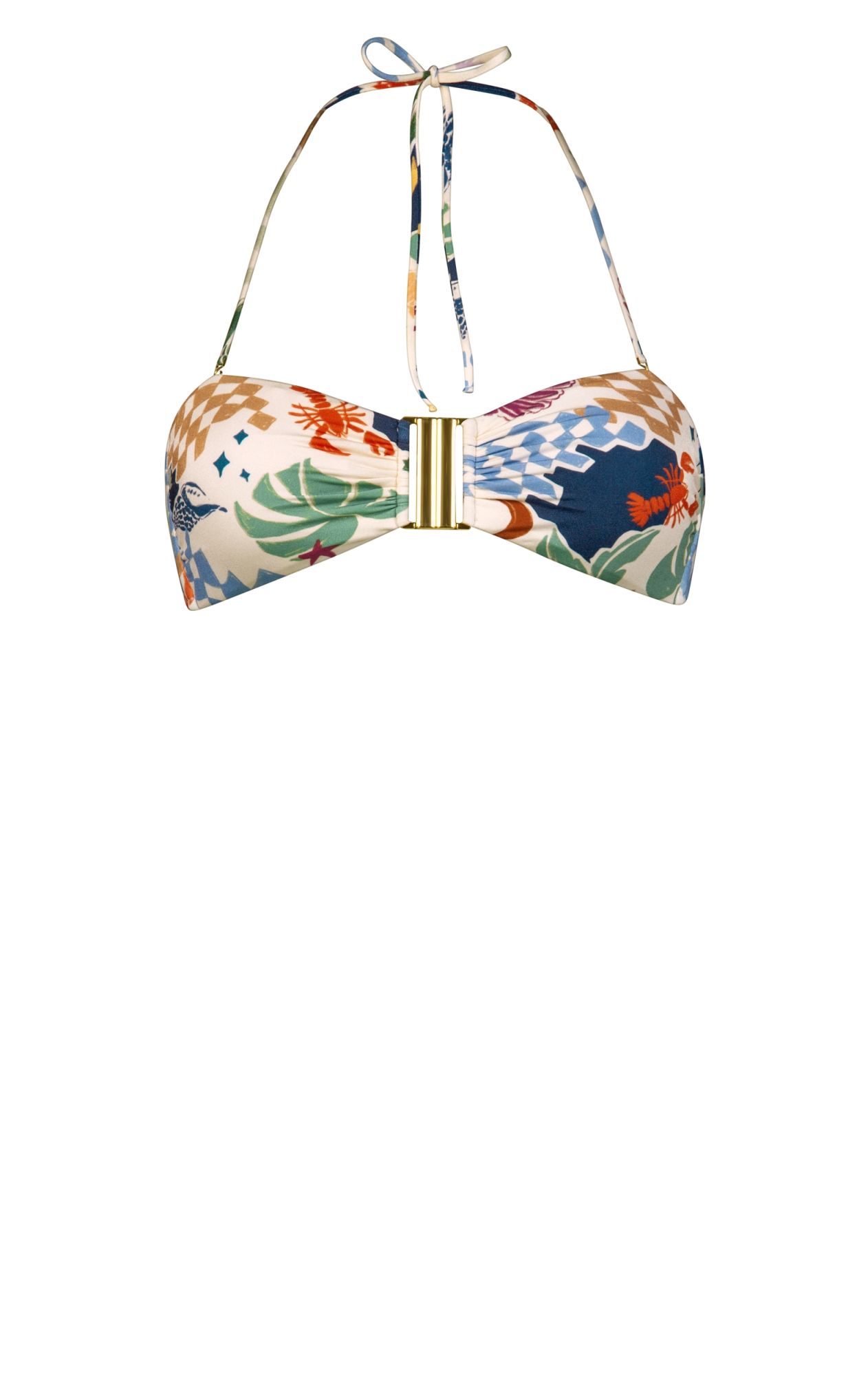 Bikini Top 1