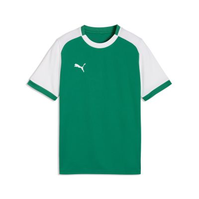 teamLIGA26 Matchday Jersey Jr Sport Green-PUMA White-PUMA White 