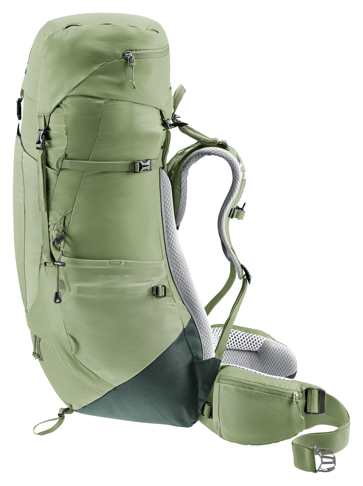 Aircontact Lite 45 + 10 SL grove-ivy 5