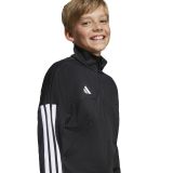 Bild6